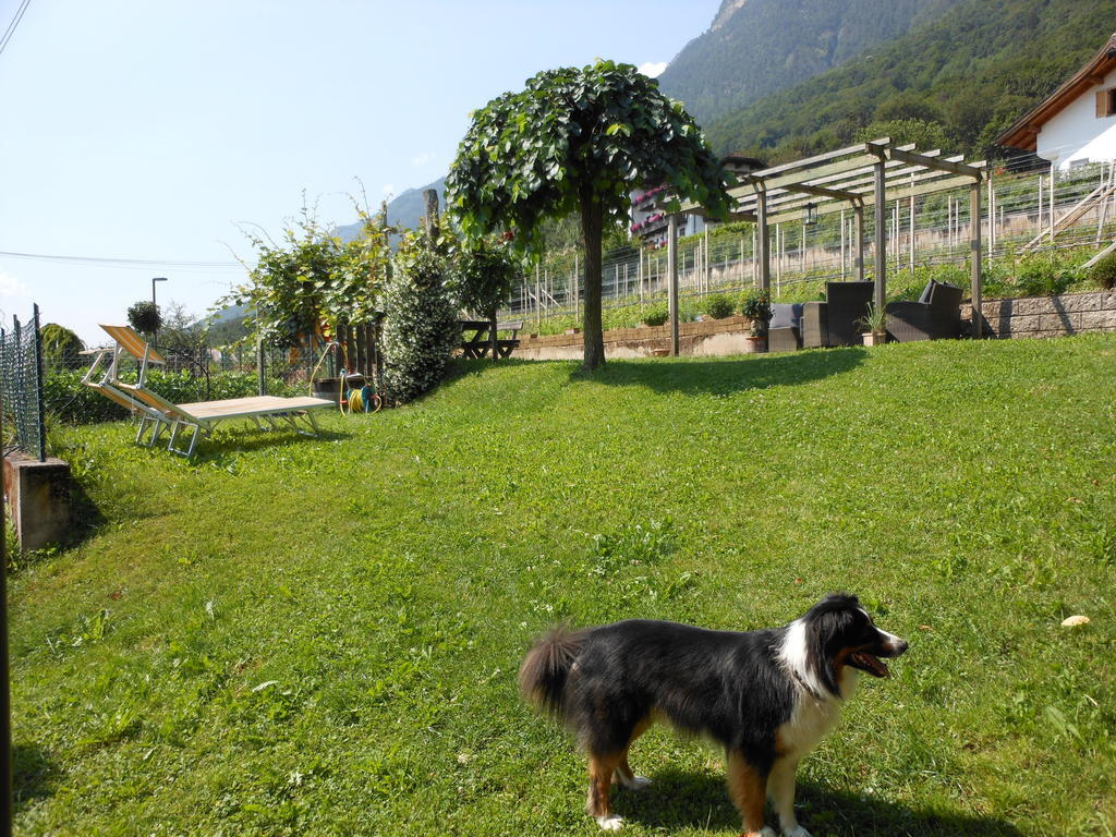 Haus Tirol Appartement Caldaro Buitenkant foto
